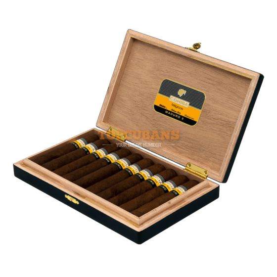 Magicos Maduro 5Magicos Maduro 5