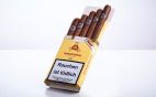 Montecristo - No. 4 5er KisteMontecristo - No. 4 5er Kiste