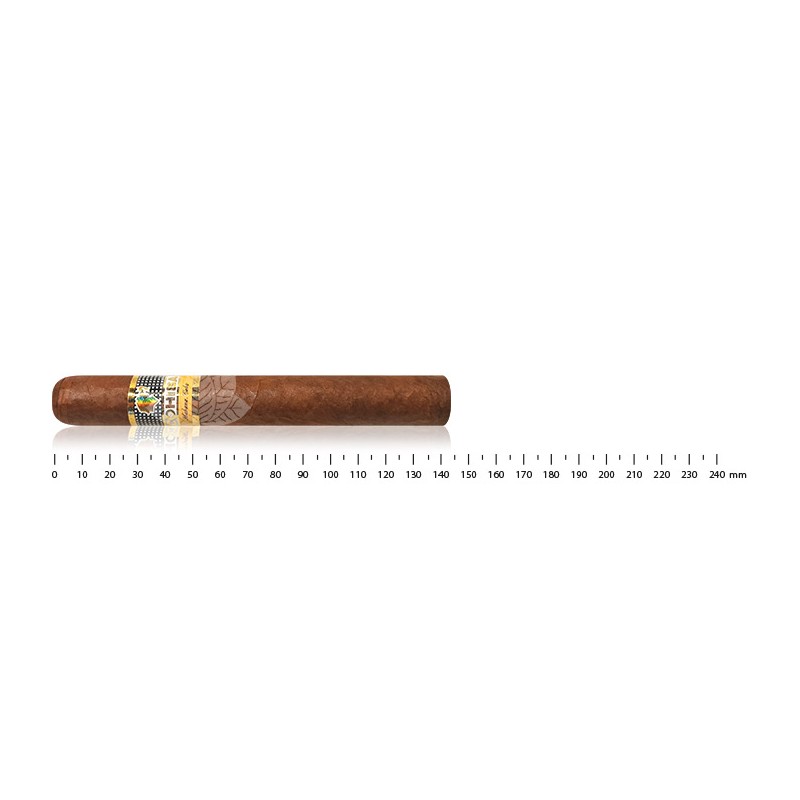 COHIBA SIGLO IV PACK (5)COHIBA SIGLO IV PACK (5)