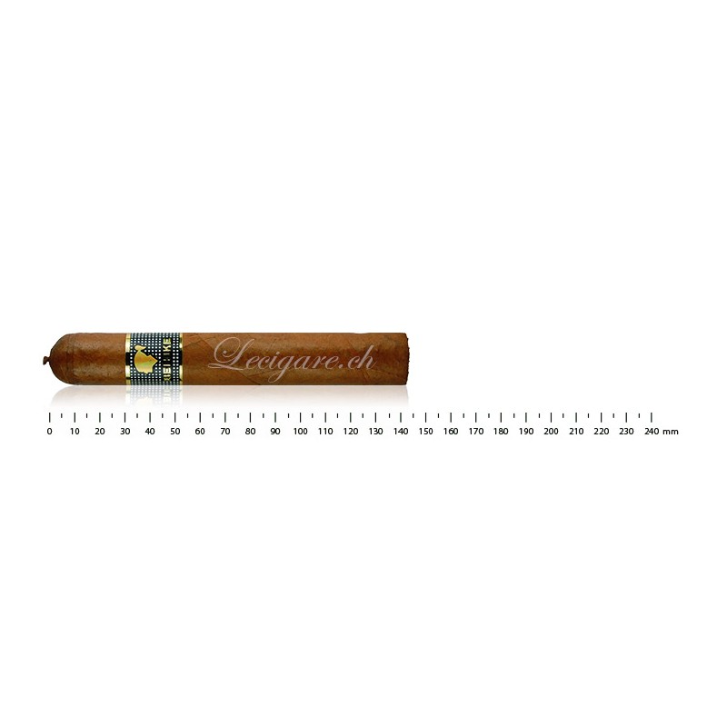 COHIBA BEHIKE 54 (10)COHIBA BEHIKE 54 (10)