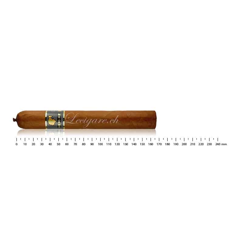 COHIBA BEHIKE 56 (10)COHIBA BEHIKE 56 (10)