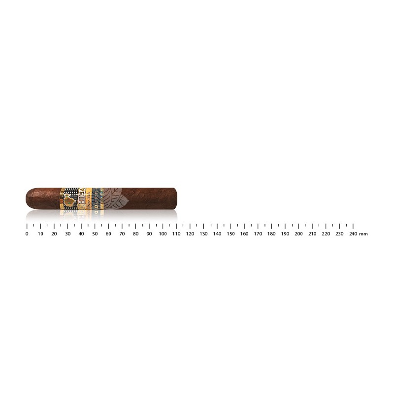 COHIBA SECRETOS (SÉRIE MADURO 5)COHIBA SECRETOS (SÉRIE MADURO 5)