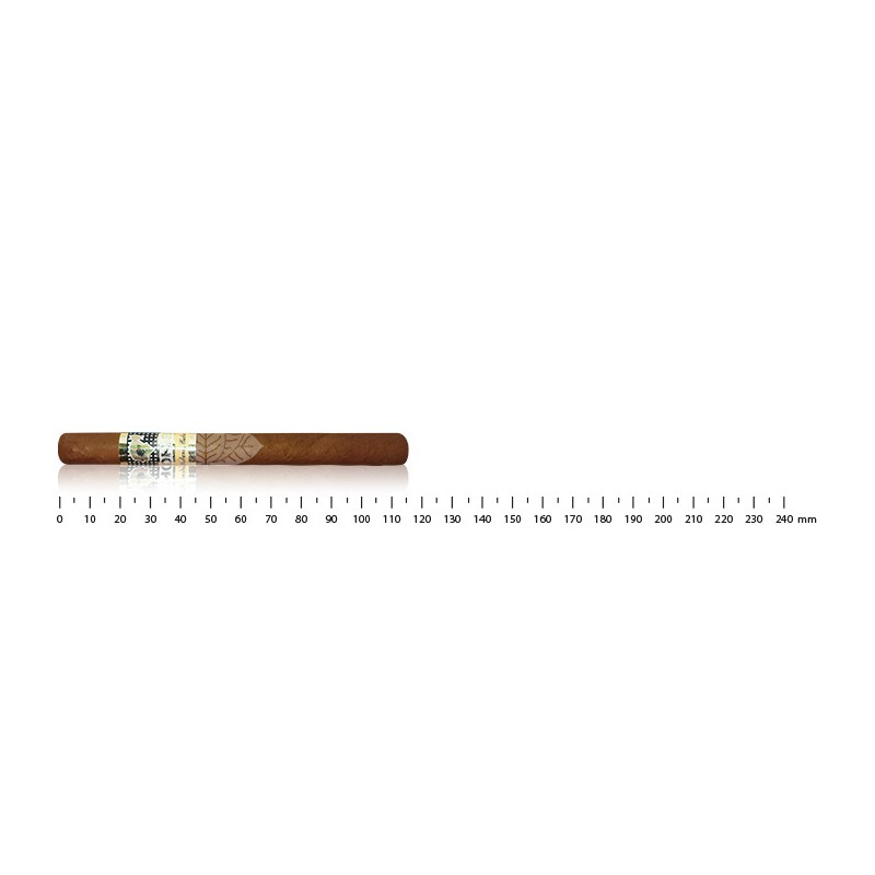 COHIBA PANETELASCOHIBA PANETELAS