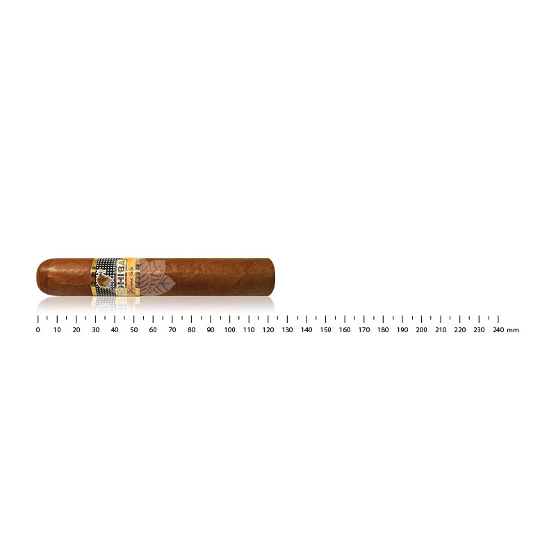 COHIBA ROBUSTOCOHIBA ROBUSTO