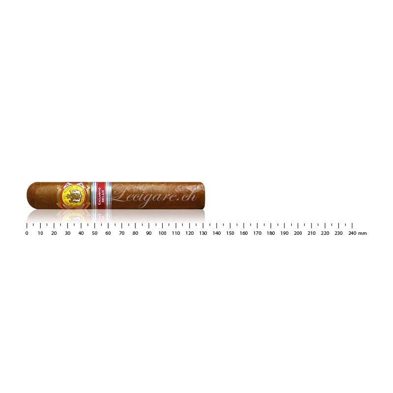 EL REY DEL MUNDO CHOIX DU ROI EDITION RÉGIONALE BELUX 2016EL REY DEL MUNDO CHOIX DU ROI EDITION RÉGIONALE BELUX 2016