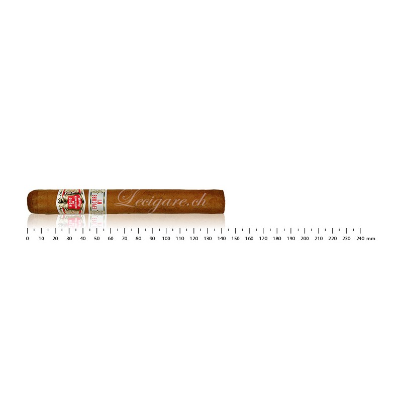 HOYO DE MONTERREY EPICURE NO.1 (3)HOYO DE MONTERREY EPICURE NO.1 (3)